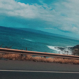 Meet your Posher, Lily